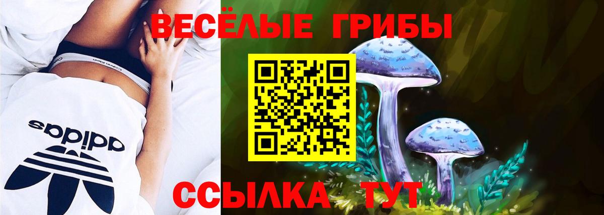 Галлюциногенные грибы Psilocybe  Вход с VPN  Сокол  Галлюциногенные грибы Cubensis 